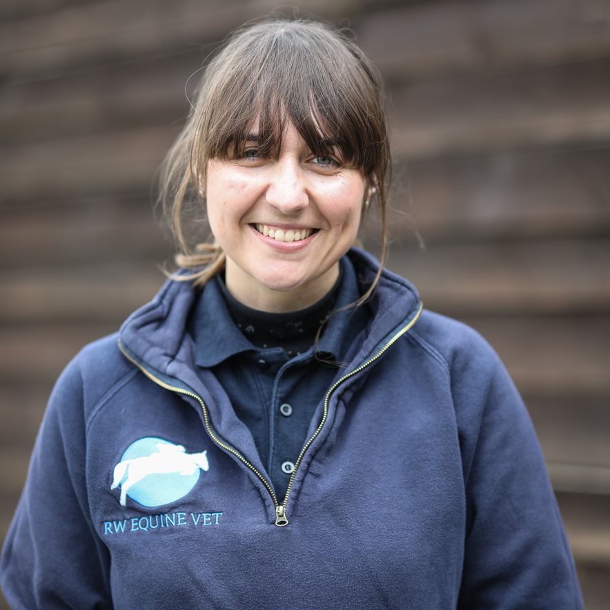 Our Team RW Equine Vet Equine Vet Based in East Sussex